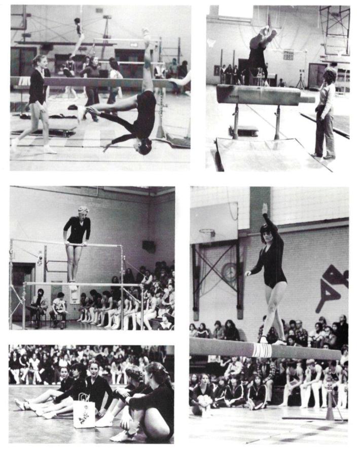 Wachusett Regional High School Class of 1980 Gymnastics